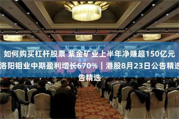 如何购买杠杆股票 紫金矿业上半年净赚超150亿元 洛阳钼业中期盈利增长670%｜港股8月23日公告精选