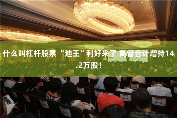 什么叫杠杆股票 “迪王”利好来了 高管合计增持14.2万股！
