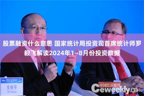 股票融资什么意思 国家统计局投资司首席统计师罗毅飞解读2024年1—8月份投资数据