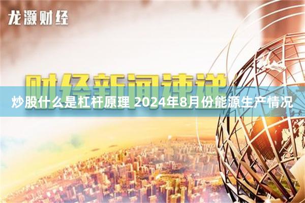炒股什么是杠杆原理 2024年8月份能源生产情况