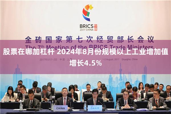 股票在哪加杠杆 2024年8月份规模以上工业增加值增长4.5%