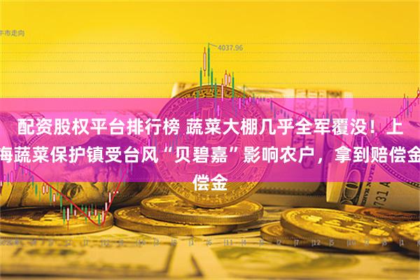 配资股权平台排行榜 蔬菜大棚几乎全军覆没！上海蔬菜保护镇受台风“贝碧嘉”影响农户，拿到赔偿金