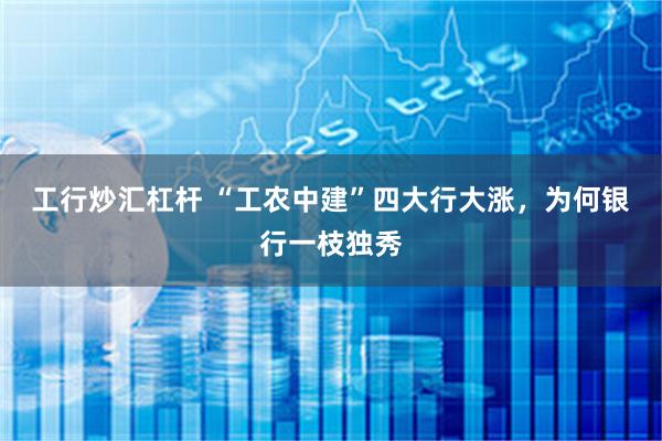 工行炒汇杠杆 “工农中建”四大行大涨，为何银行一枝独秀