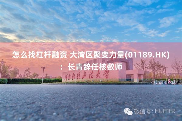 怎么找杠杆融资 大湾区聚变力量(01189.HK)：长青辞任核数师