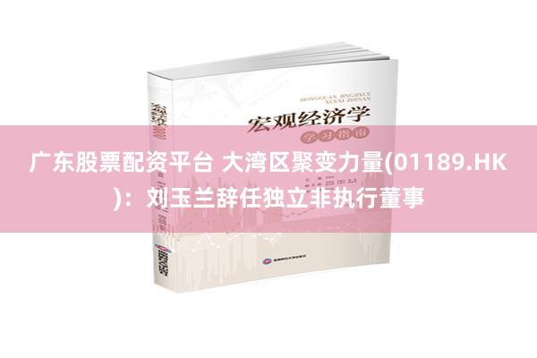 广东股票配资平台 大湾区聚变力量(01189.HK)：刘玉兰辞任独立非执行董事