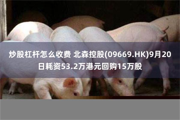 炒股杠杆怎么收费 北森控股(09669.HK)9月20日耗资53.2万港元回购15万股