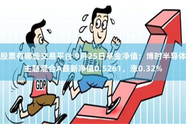 股票有哪些交易平台 9月25日基金净值：博时半导体主题混合A最新净值0.5261，涨0.32%