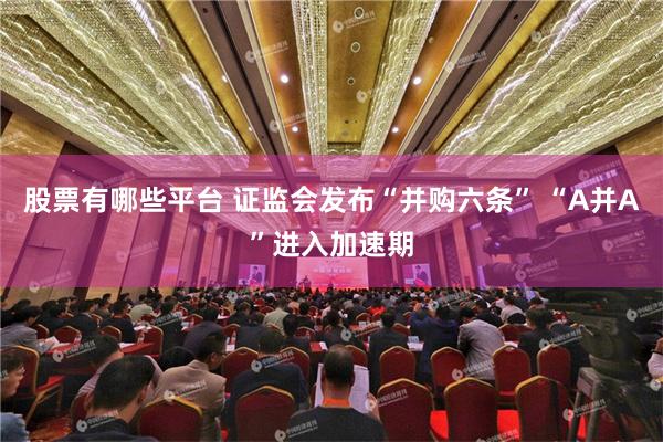 股票有哪些平台 证监会发布“并购六条” “A并A”进入加速期