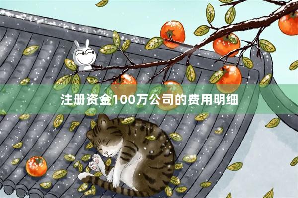 注册资金100万公司的费用明细
