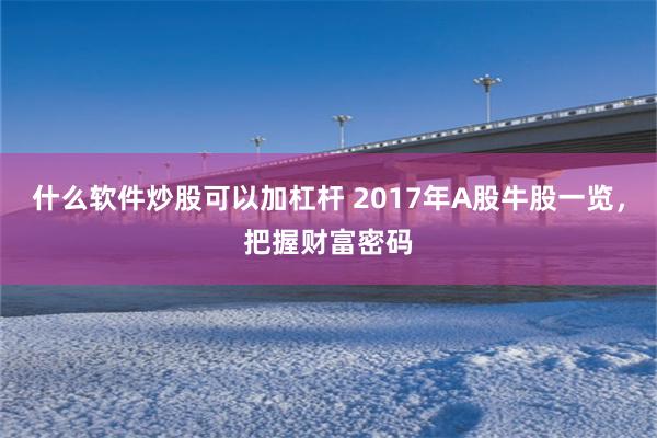 什么软件炒股可以加杠杆 2017年A股牛股一览，把握财富密码