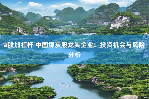 a股加杠杆 中国煤炭股龙头企业：投资机会与风险分析