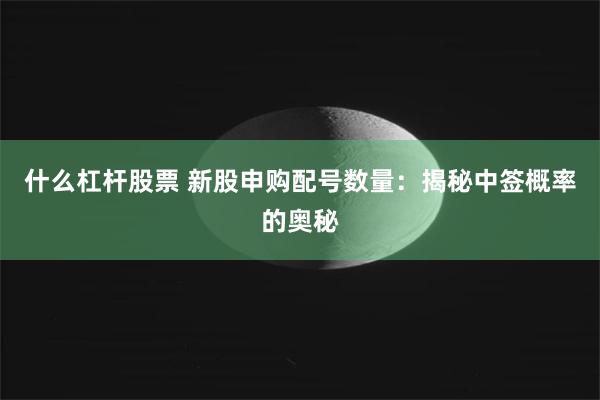 什么杠杆股票 新股申购配号数量：揭秘中签概率的奥秘