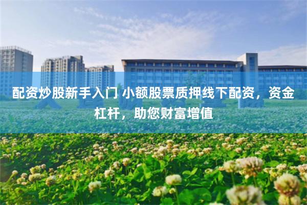 配资炒股新手入门 小额股票质押线下配资，资金杠杆，助您财富增值