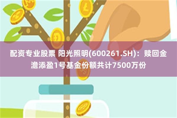 配资专业股票 阳光照明(600261.SH)：赎回金澹添盈1号基金份额共计7500万份