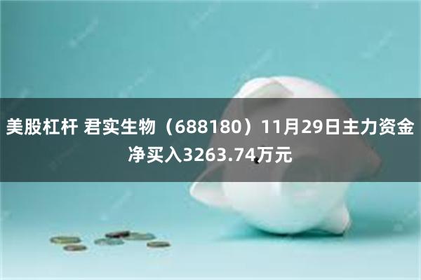 美股杠杆 君实生物（688180）11月29日主力资金净买入3263.74万元