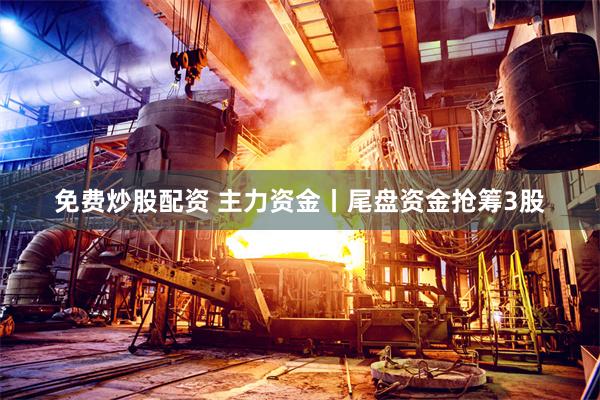 免费炒股配资 主力资金丨尾盘资金抢筹3股