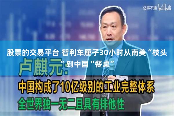 股票的交易平台 智利车厘子30小时从南美“枝头”到中国“餐桌”