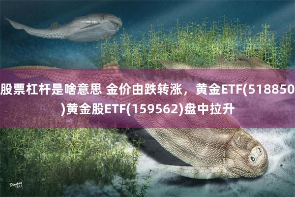 股票杠杆是啥意思 金价由跌转涨，黄金ETF(518850)黄金股ETF(159562)盘中拉升