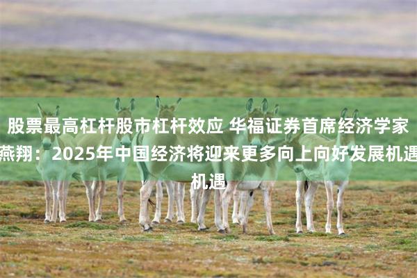 股票最高杠杆股市杠杆效应 华福证券首席经济学家燕翔：2025年中国经济将迎来更多向上向好发展机遇