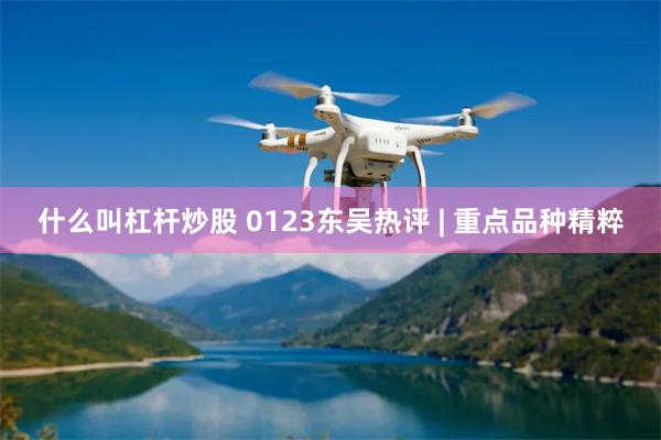 什么叫杠杆炒股 0123东吴热评 | 重点品种精粹