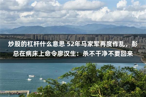 炒股的杠杆什么意思 52年马家军再度作乱，彭总在病床上命令廖汉生：杀不干净不要回来