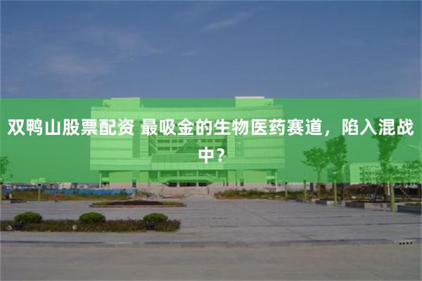 双鸭山股票配资 最吸金的生物医药赛道，陷入混战中？