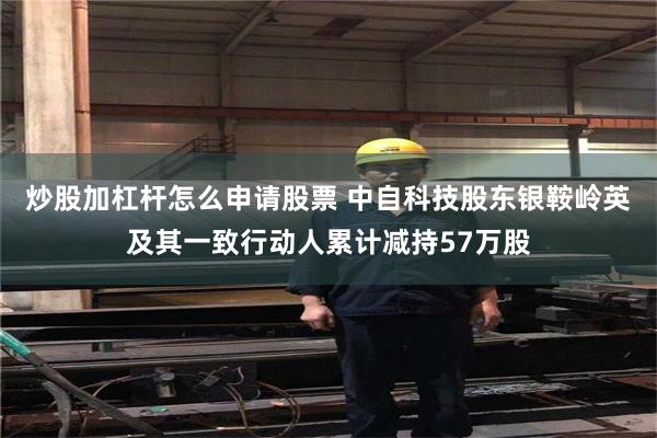 炒股加杠杆怎么申请股票 中自科技股东银鞍岭英及其一致行动人累计减持57万股