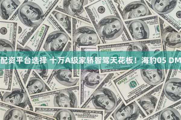 配资平台选择 十万A级家轿智驾天花板！海豹05 DM