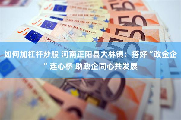 如何加杠杆炒股 河南正阳县大林镇：搭好“政金企”连心桥 助政企同心共发展