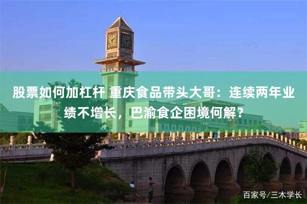 股票如何加杠杆 重庆食品带头大哥：连续两年业绩不增长，巴渝食企困境何解？