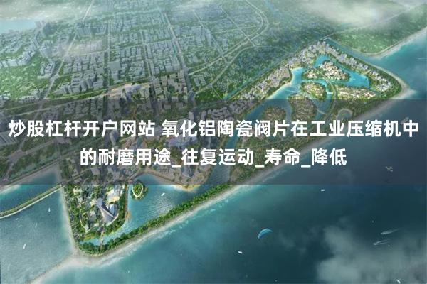 炒股杠杆开户网站 氧化铝陶瓷阀片在工业压缩机中的耐磨用途_往复运动_寿命_降低