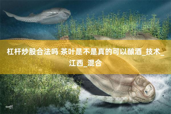 杠杆炒股合法吗 茶叶是不是真的可以酿酒_技术_江西_混合