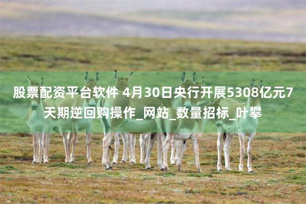 股票配资平台软件 4月30日央行开展5308亿元7天期逆回购操作_网站_数量招标_叶攀
