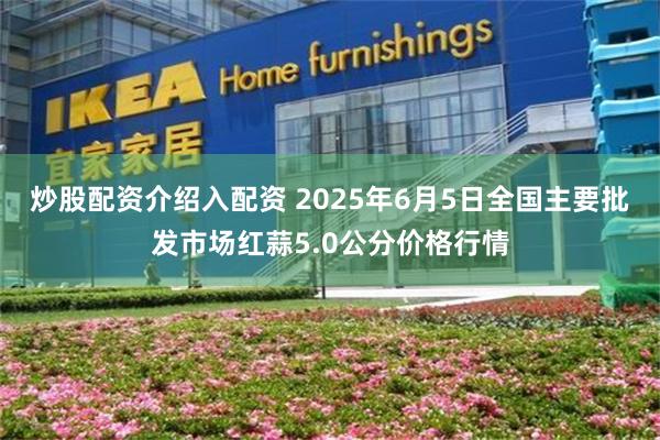 炒股配资介绍入配资 2025年6月5日全国主要批发市场红蒜5.0公分价格行情