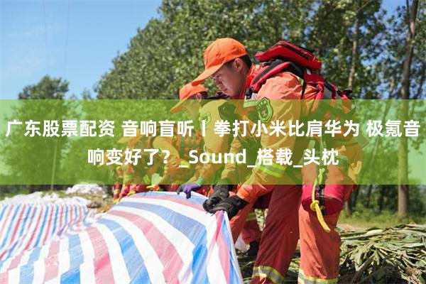 广东股票配资 音响盲听丨拳打小米比肩华为 极氪音响变好了？_Sound_搭载_头枕