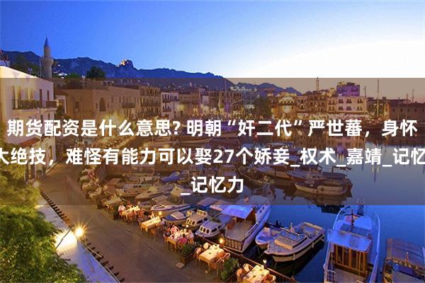 期货配资是什么意思? 明朝“奸二代”严世蕃，身怀3大绝技，难怪有能力可以娶27个娇妾_权术_嘉靖_记忆力