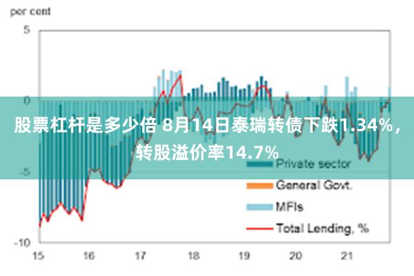 股票杠杆是多少倍 8月14日泰瑞转债下跌1.34%，转股溢价率14.7%