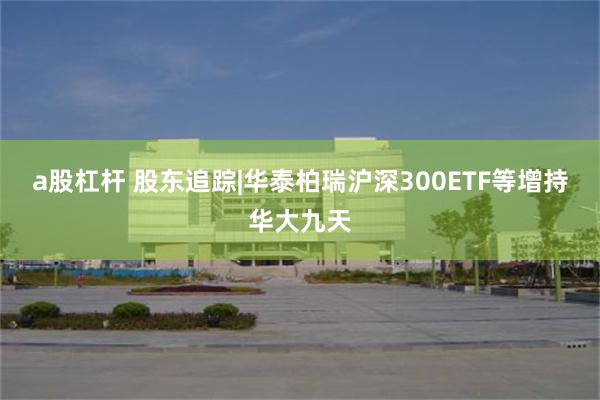 a股杠杆 股东追踪|华泰柏瑞沪深300ETF等增持华大九天