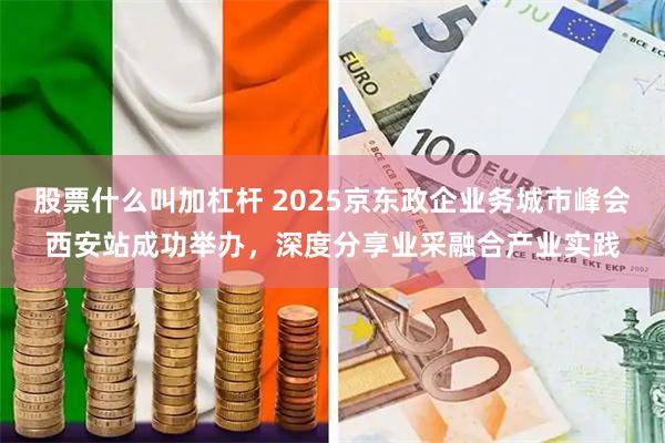 股票什么叫加杠杆 2025京东政企业务城市峰会西安站成功举办，深度分享业采融合产业实践